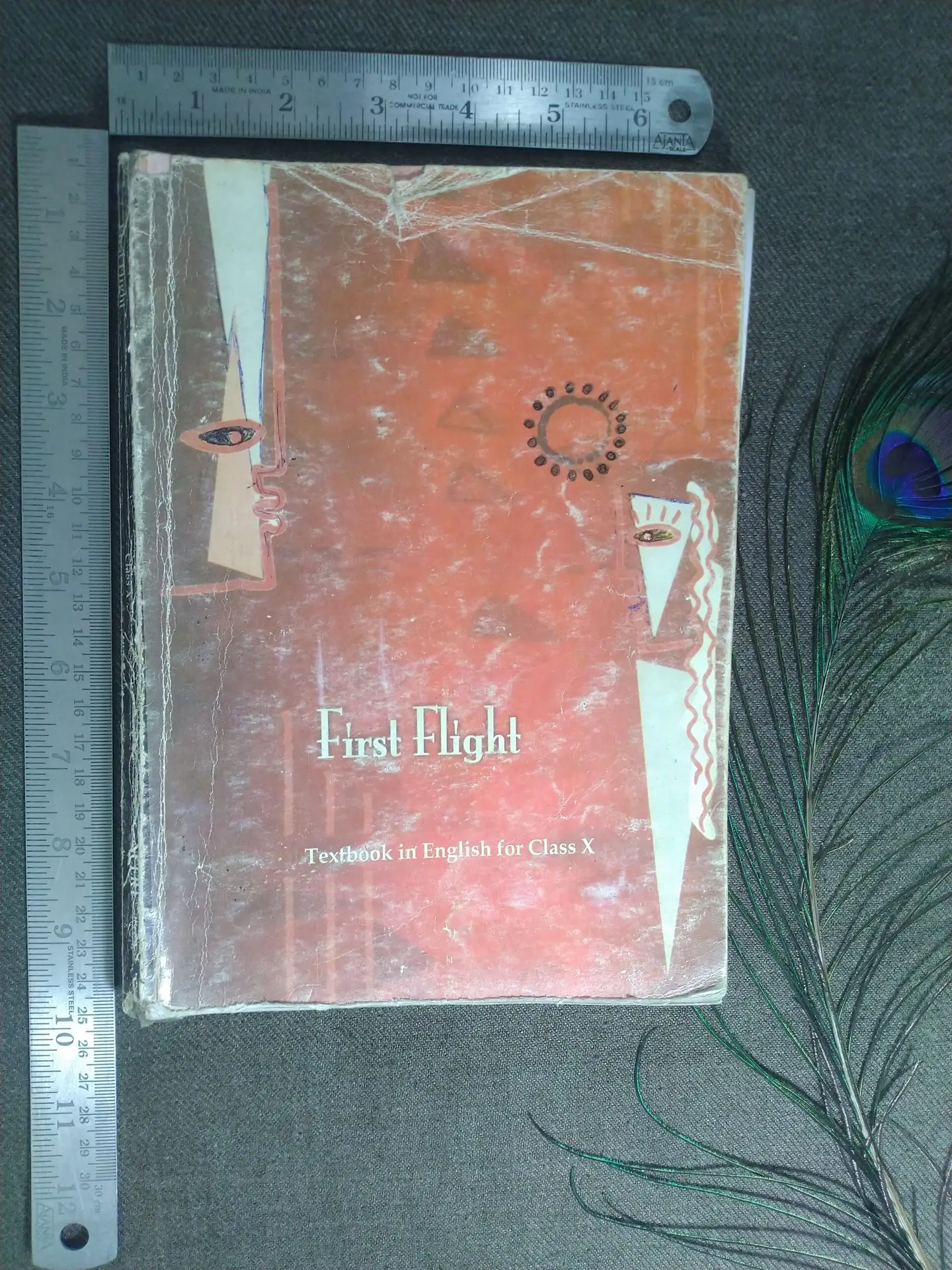 CBSE Class 10 English, NCERT Textbook, Prose and Poetry Collection, Language Skills Development, Educational Resource