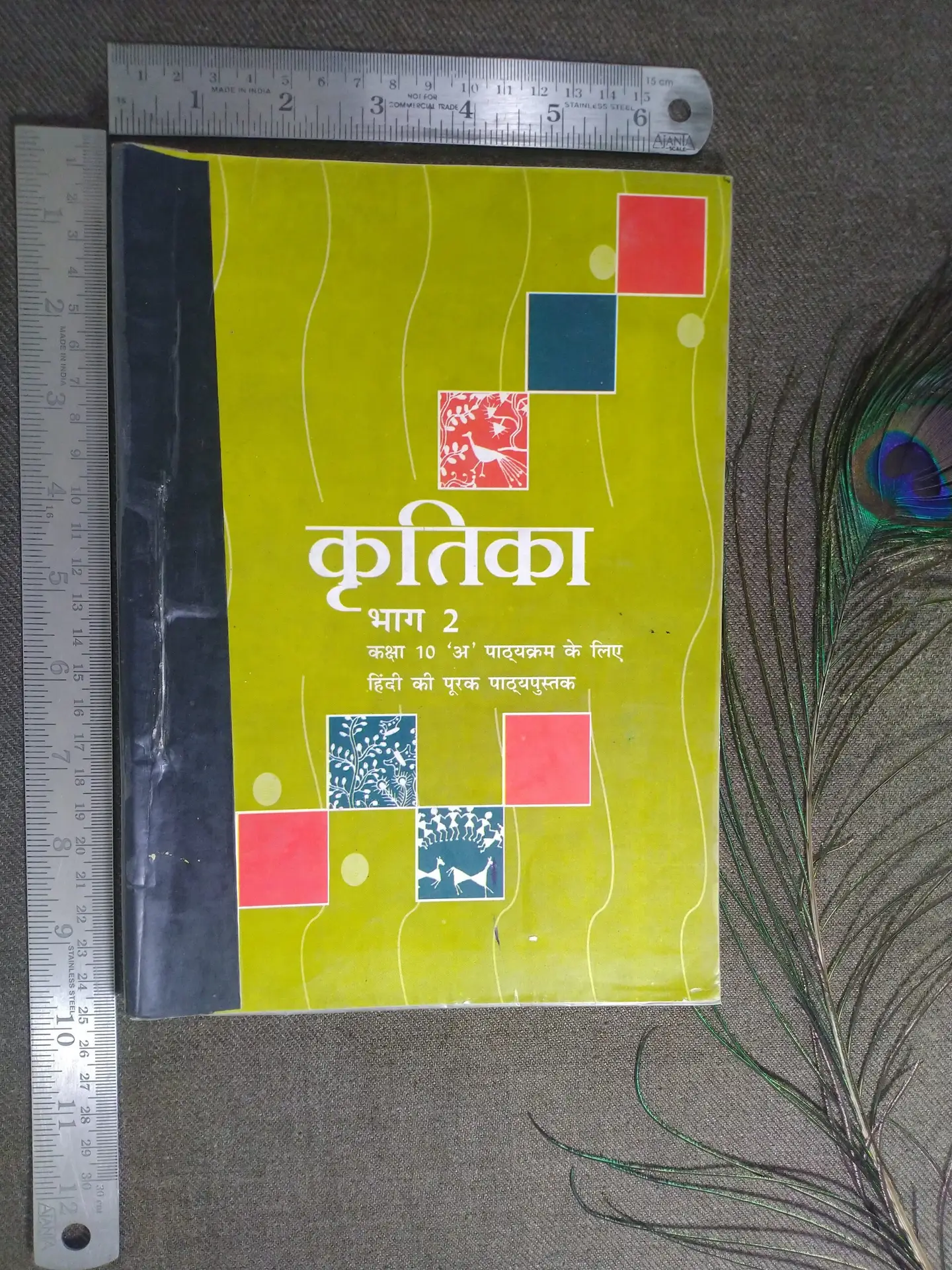 NCERT, Class 10 Hindi, Kritika Bhag 2, Hindi Literature, CBSE Textbook