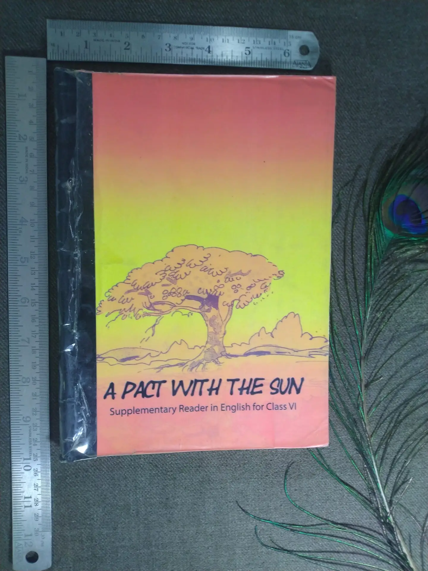 CBSE Class 6 English, NCERT Textbook, Supplementary Reader, Language Skills Development, Educational Resource