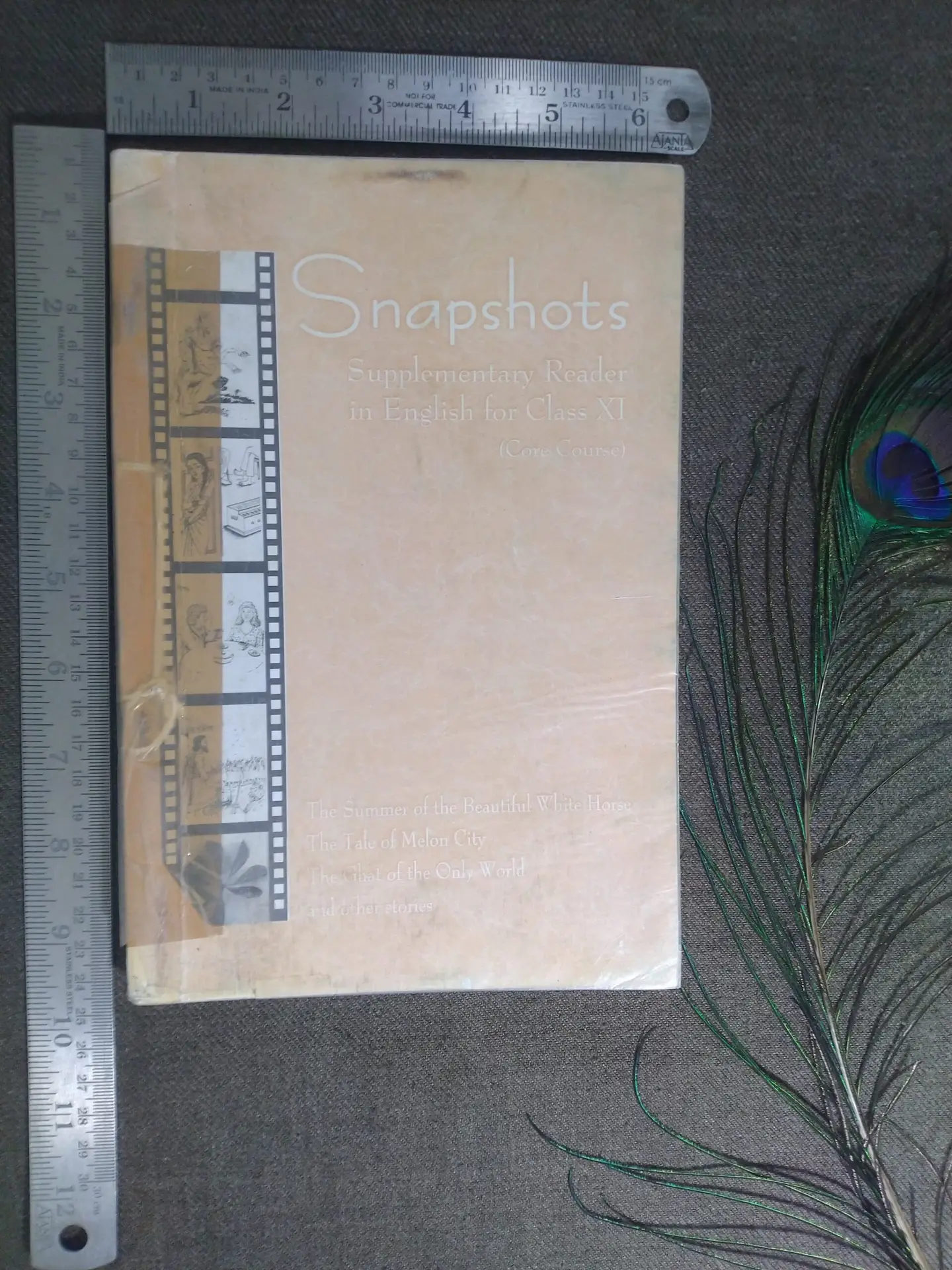 NCERT, Class XI English, Supplementary Reader, Short Stories, CBSE Textbook