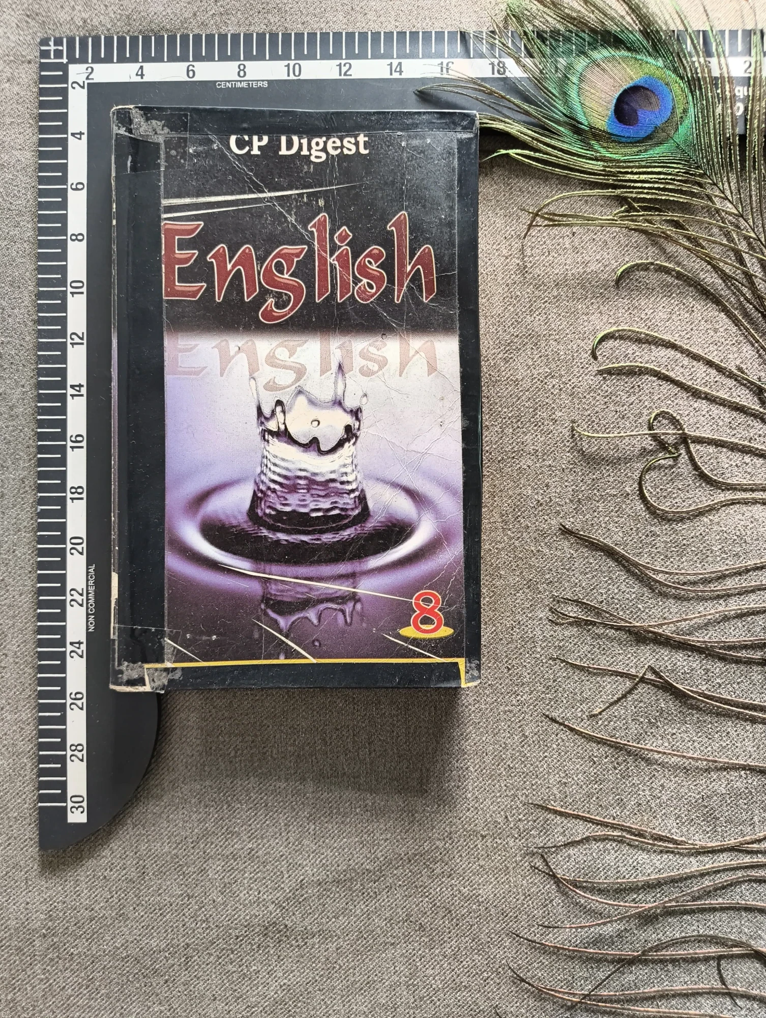 CP Digest English (Honeydew & It So Happened) – Class 8