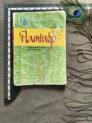 Flamingo – Textbook in English (Core Course), Class 12