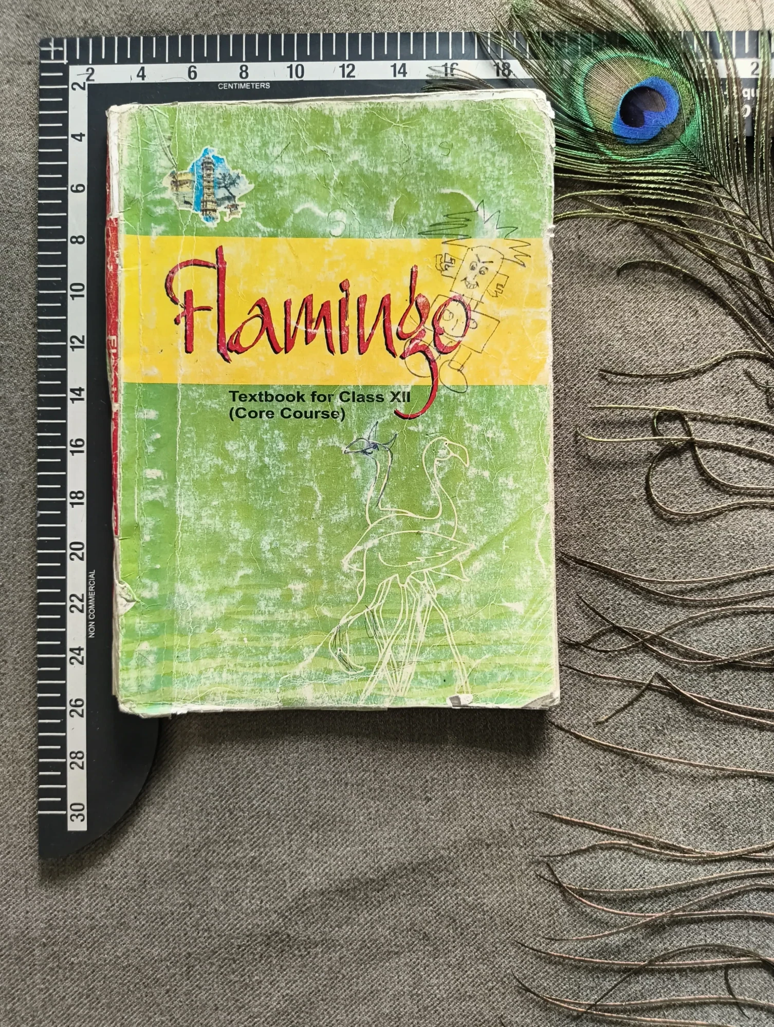 Flamingo – Textbook in English (Core Course), Class 12
