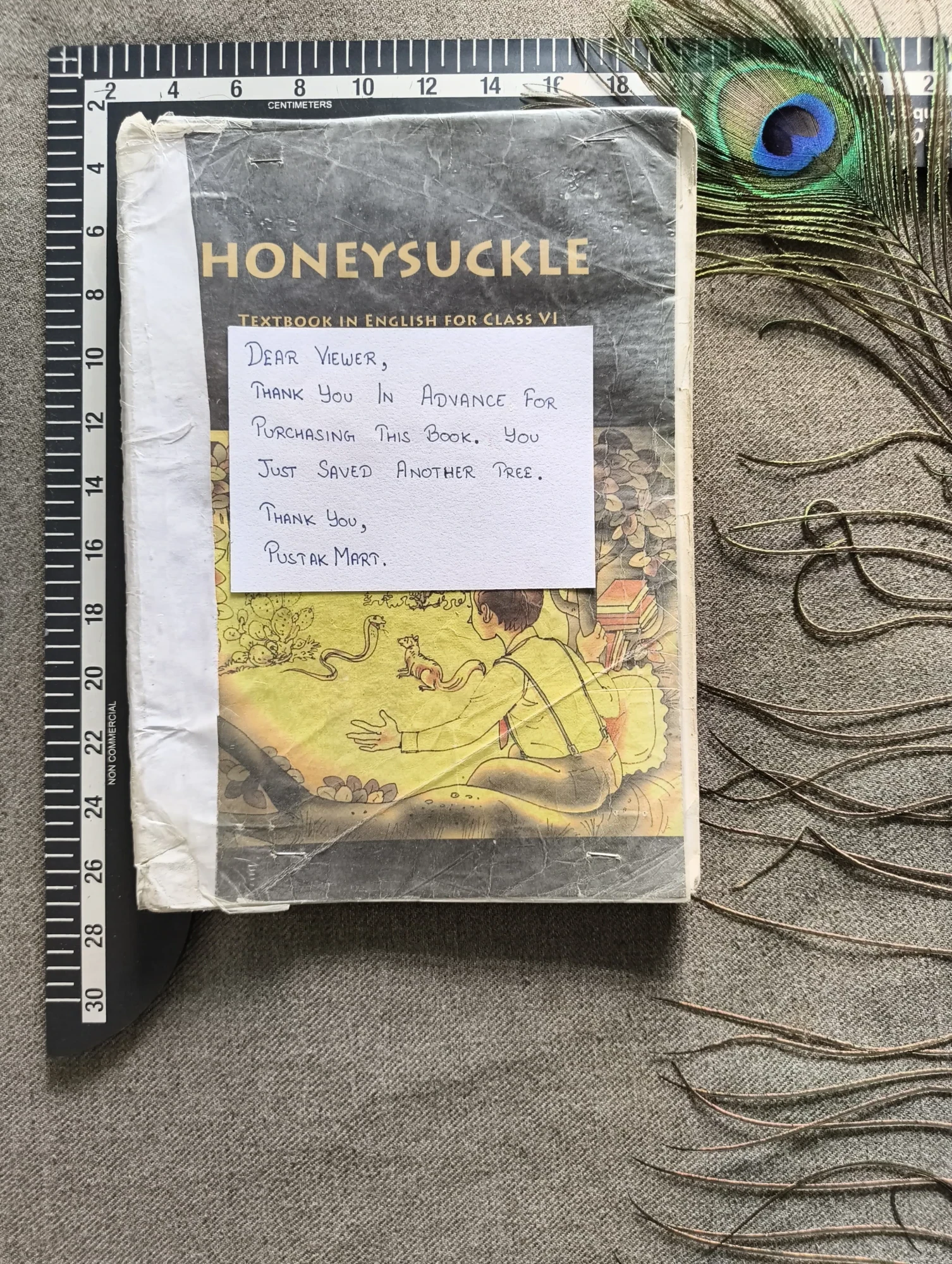 Honeysuckle – English Textbook for Class 6