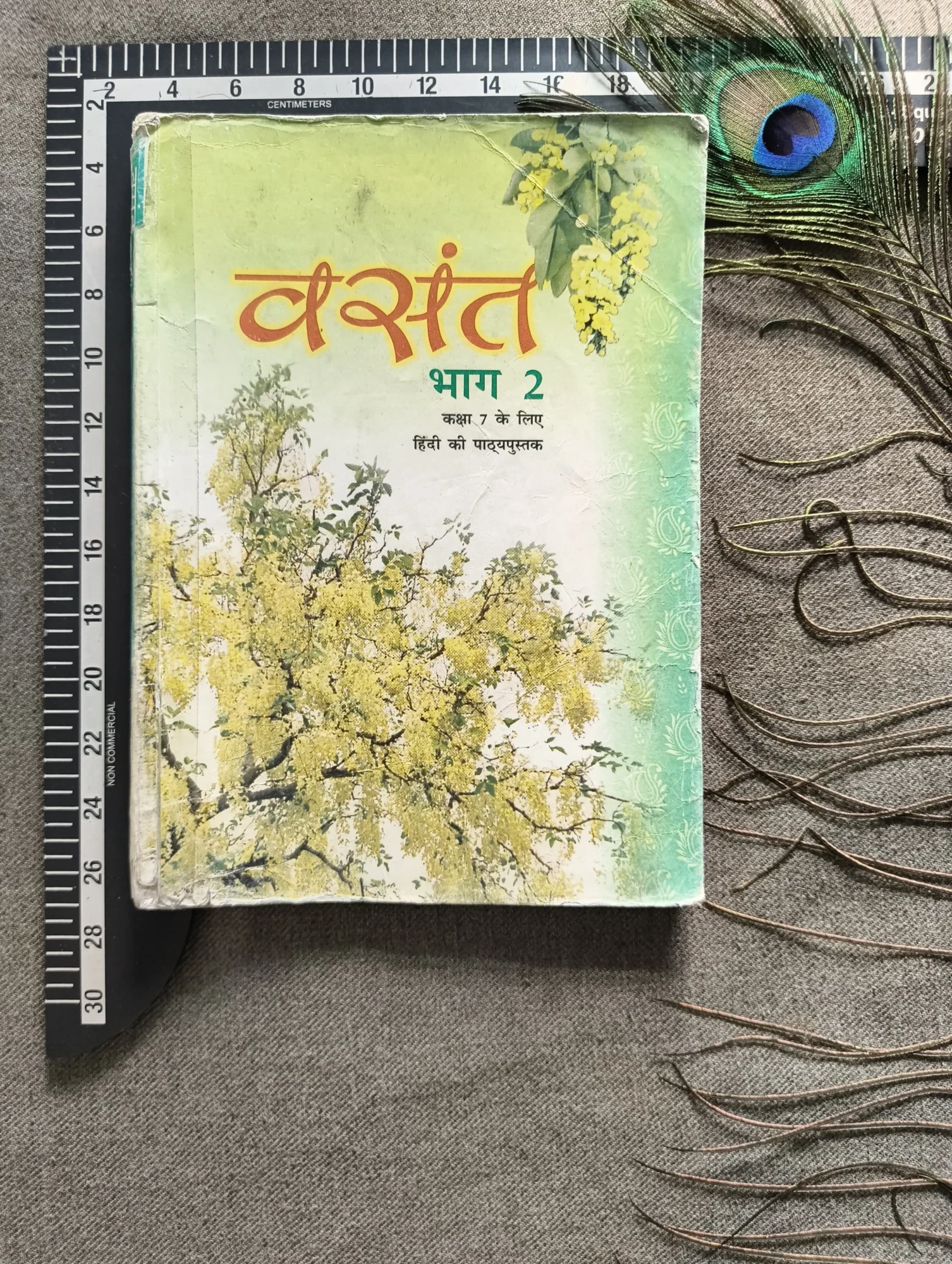 Vasant Bhag 1 – Hindi Textbook for Class 6