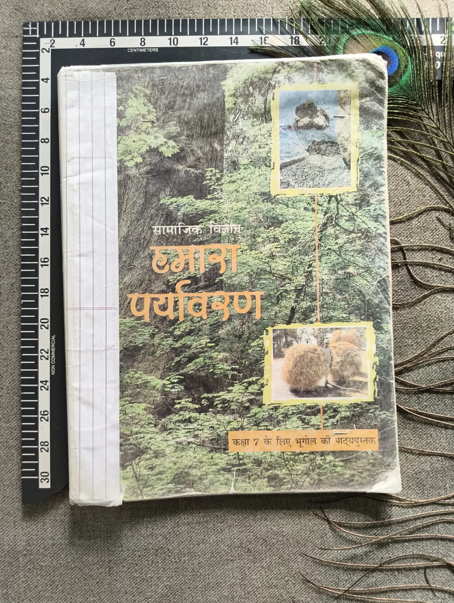 Hamara Paryavaran – Bhugol (Geography for Class 7)